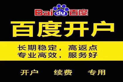 百度SEM优化案例：揭秘高转化率背后的秘密